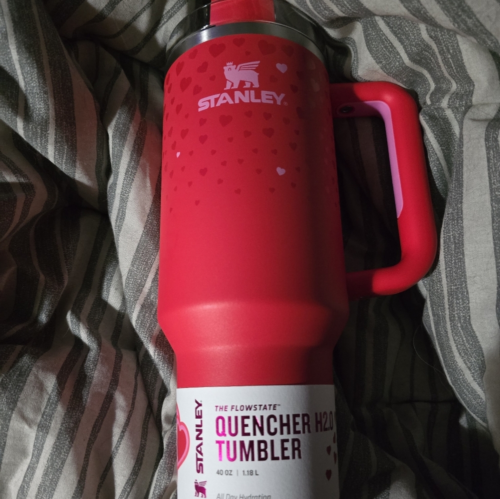 Viral Valentine's Stanley x Target Tumbler